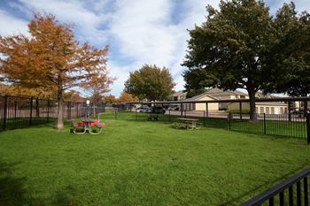 Bark park